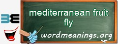 WordMeaning blackboard for mediterranean fruit fly